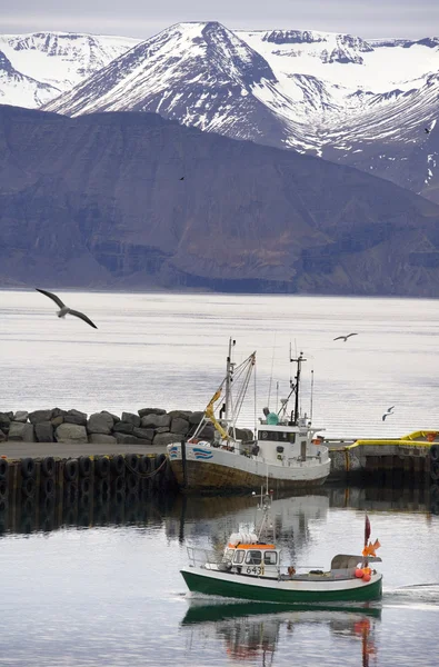 Port husavik - Islandia — Zdjęcie stockowe