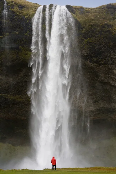 Seljalandsfoss şelale - İzlanda — Stok fotoğraf