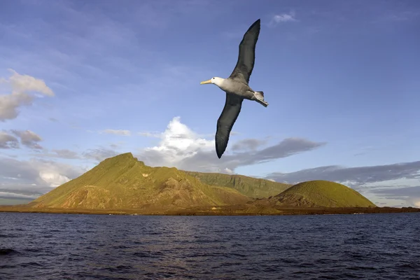 Ecuador vulkan - galapagos inseln — Stockfoto