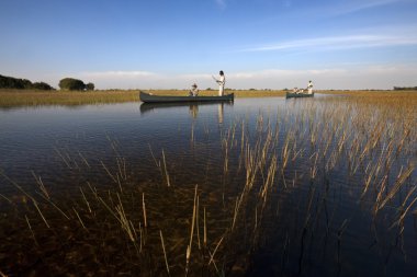 Okavango delta - Botsvana