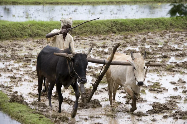 Chettined - Tamil Nadu - India — Stock Photo, Image