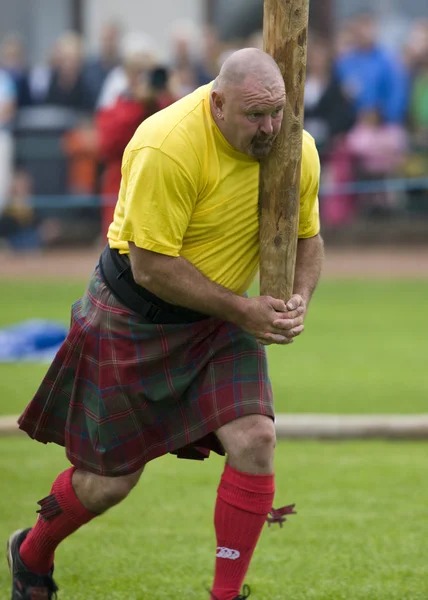 Sportsman - Cowal Gathering Highland Games - Écosse — Photo