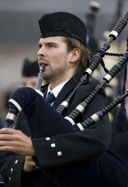 Piper på Cowal Gathering — Stockfoto