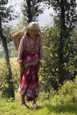 Katmandu Vadisi'nde - nepal