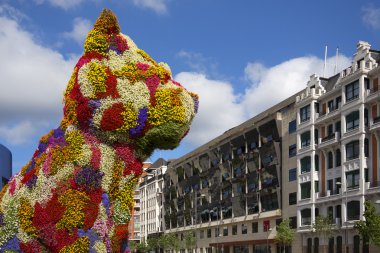 Guggenheim köpek yavrusu - bilbao - İspanya