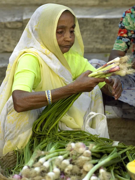 Indický obchodník - udaipur — Stock fotografie