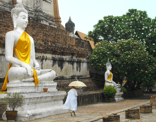 Ayutthaya - Thailand — Stockfoto