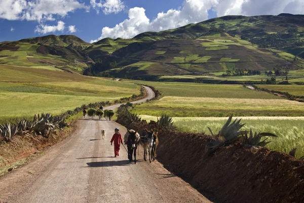 Υψηλή περιεκτικότητα σε το - urubamba - Άνδεις του Περού εξοχικά — Φωτογραφία Αρχείου