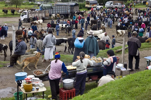 Otavalo hayvan pazarı - Ekvator - Güney Amerika — Stok fotoğraf