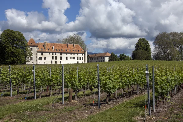 Chateau Allaman - Suiza — Foto de Stock