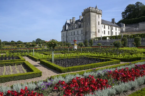 Villandry chateau - loire valley - Fransa — Stok fotoğraf