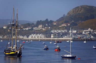 nehir conwy - north wales - Amerika Birleşik Devletleri