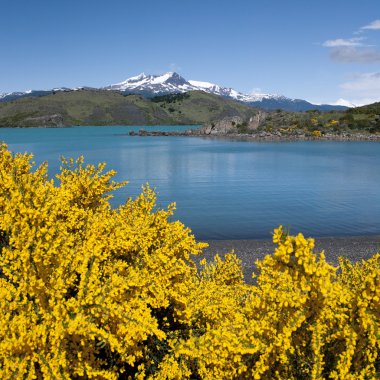 Torres del Paine - Patagonia - Chile clipart