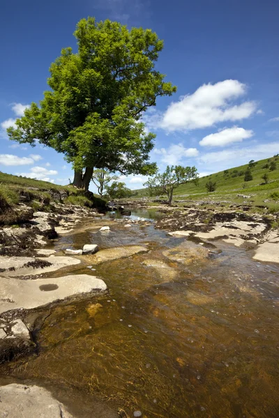 River Wharfe - Yorkshire Dales - Angleterre — Photo