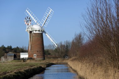 at windpump - norfolk karılar - İngiltere
