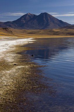 Atacama Çölü - Şili