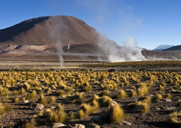 El tatio geisers in de atacama woestijn - Chili — Stockfoto