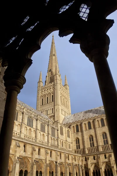 Catedral de Norwich Grã-Bretanha — Fotografia de Stock