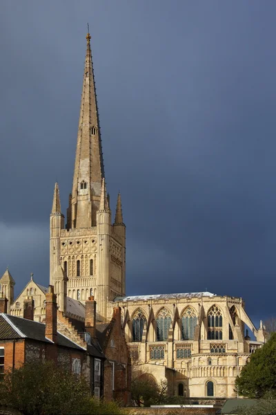 Kathedrale von Norwich - Großbritannien — Stockfoto