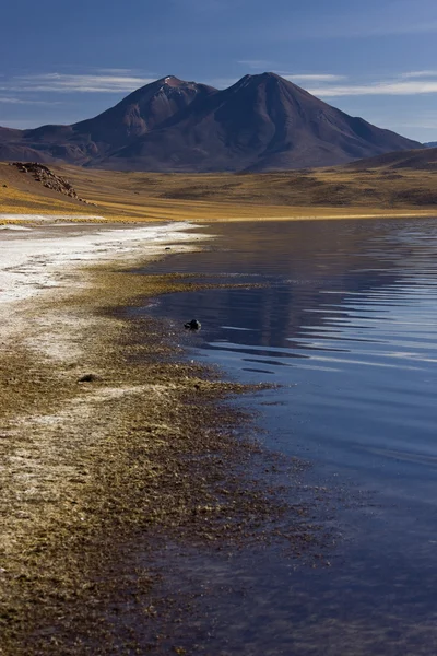 Atacama Çölü - Şili — Stok fotoğraf