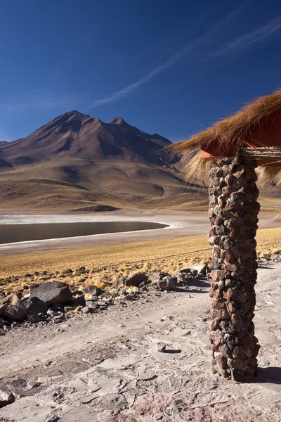 Laguna miscanti - atacama woestijn - Chili — Stockfoto