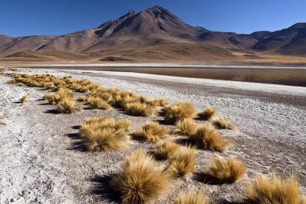Poušť Atacama v severním chile — Stock fotografie