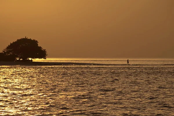 Kokta öar - södra Stilla havet — Stockfoto