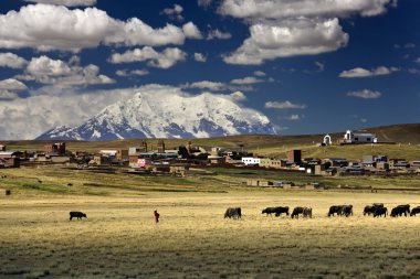 Illimani dağ - Bolivya