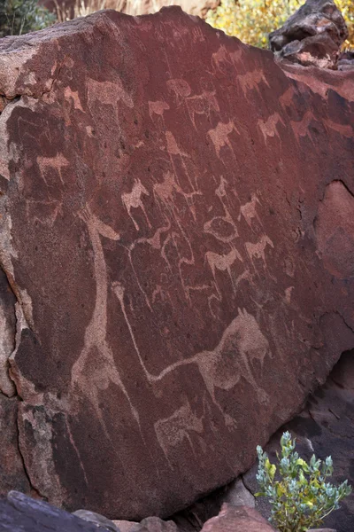 Petroglifler - twyfelfontain - Namibya — Stok fotoğraf