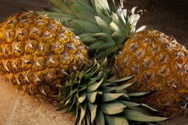 Gıda - ananas