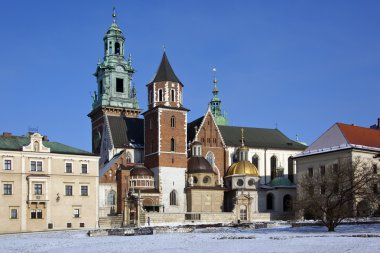 Krakow - royal Katedrali - wawel hill - Polonya