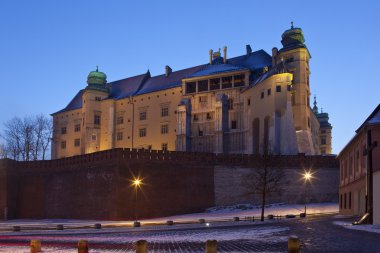 Krakow - royal castle - wawel hill - Polonya