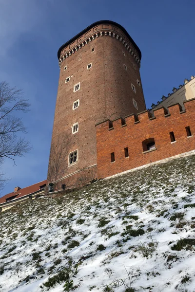 Senatorska tower - krakow - Polsko — Stock fotografie