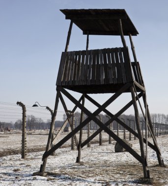 Auschwitz-Birkenau Nazi Toplama Kampı - Polonya