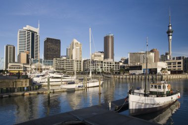Auckland - Yeni Zelanda