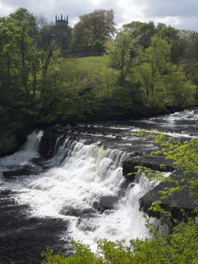 aysgarth falls - İngiltere