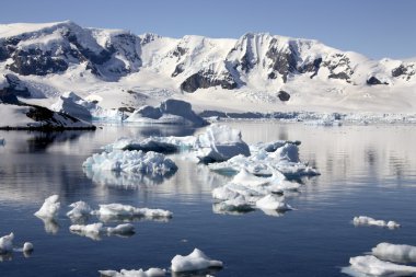 Paradise Bay - Antarctica clipart