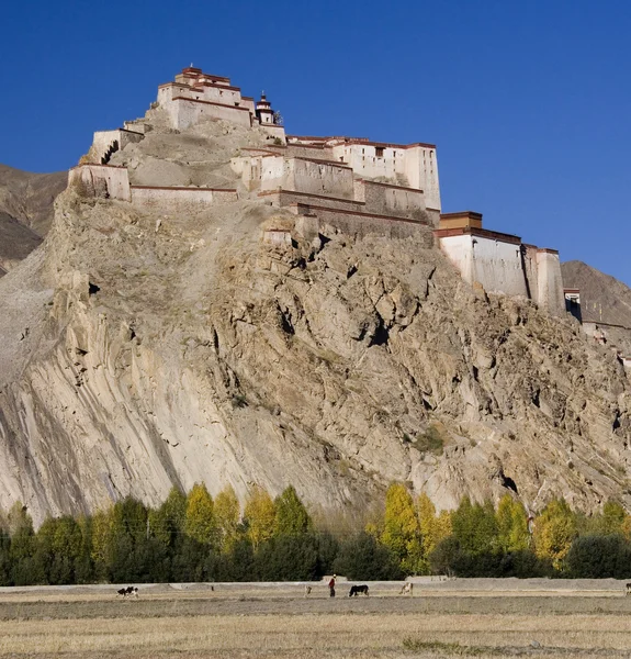 Gyantse Stock Photos, Royalty Free Gyantse Images Depositphotos®