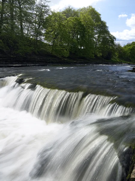 Aysgarth Falls - Anglia — Stock Fotó