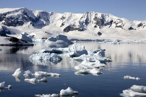 Baía do paraíso - antártica — Fotografia de Stock