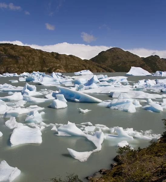 Chile los icebergs - largo gris - patagonia- —  Fotos de Stock