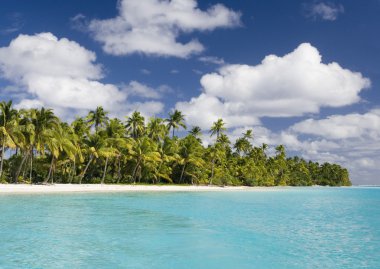 Cook Adaları - Güney Pasifik