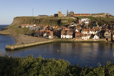 Whitby - yorkshire - İngiltere