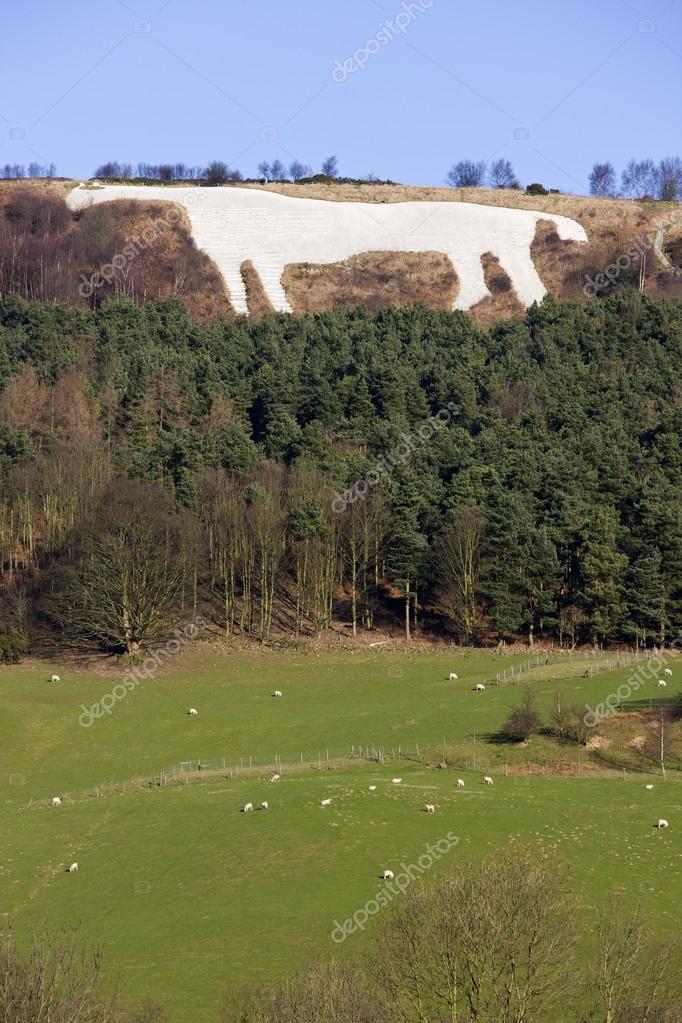 White Horse at Kilburn Yorkshire Great Britain Stock Photo by