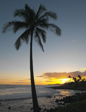 Kauai - Hawaii Adaları