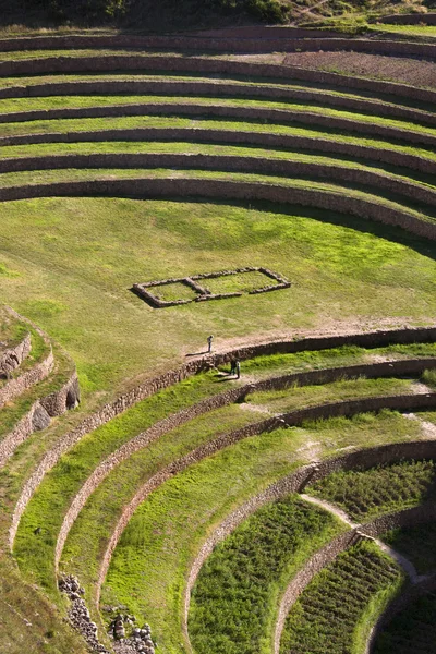 Inca terrassen - muräne - peru — Stockfoto