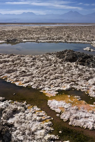 Pisos de sal - desierto de Atacama - Chile —  Fotos de Stock