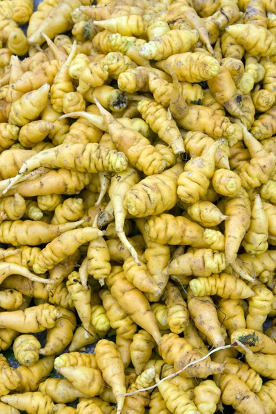 Zuid-Amerikaanse vegetable - mashua — Stockfoto