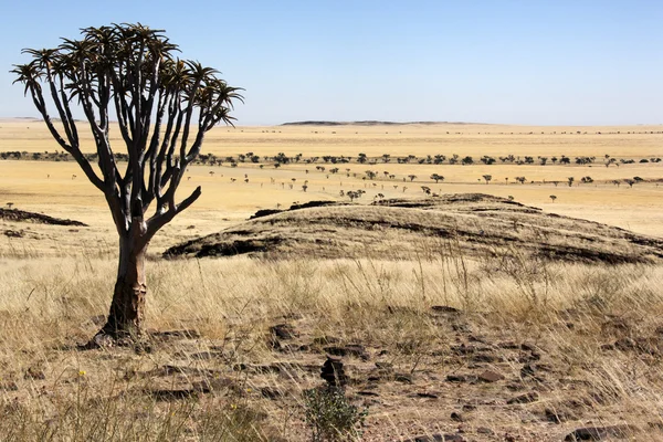 Deserto de Namib-nuakluft - Namíbia — Fotografia de Stock