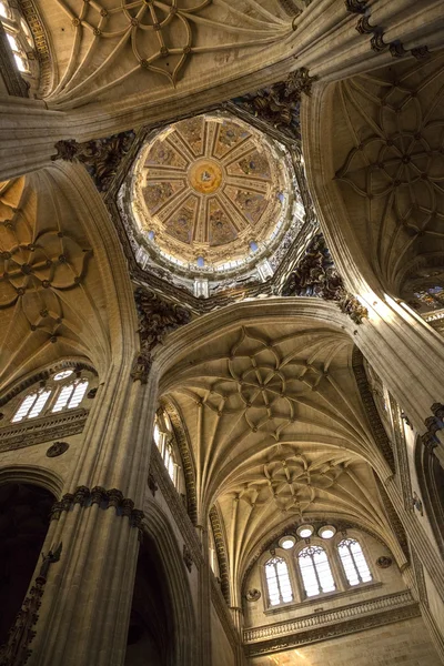 Salamanca cathedral - Spanien — Stockfoto